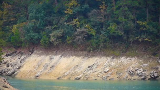 Bosque sobre isla y lago verde oscuro . — Vídeo de stock