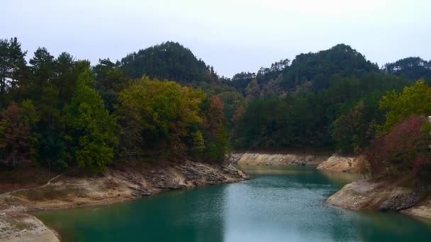 Forest over island & dark-green lake. — Stock Video