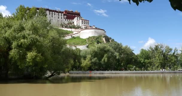 4 k lasa 公園の柳と Lhasa,Tibet.lake でポタラ. — ストック動画