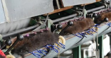 4 k Makina üreten doku içinde A ipek fabrikası, İpek iplik Makina toplama.