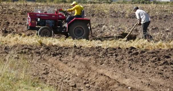 China-Sep 08,2016: 4k tibetanos utilizan tractor agrícola Tierras cultivables en shangrila yunnan, China . — Vídeos de Stock
