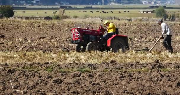 China-Sep 08,2016: 4k tibetanos utilizan tractor agrícola Tierras cultivables en shangrila yunnan, China . — Vídeos de Stock