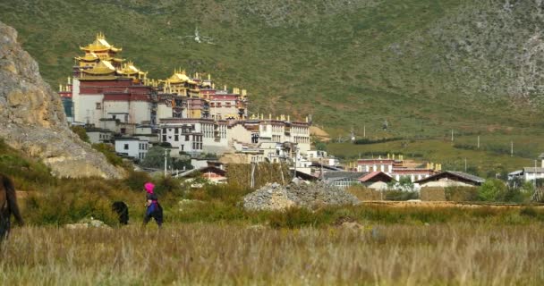 4k Hierba balanceándose frente al templo, montañas como fondo, Shangri-La Chin — Vídeo de stock