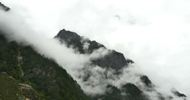 4k хмарний покрив гори вранці, туман дерев, округу Бомі,tibet . — стокове відео