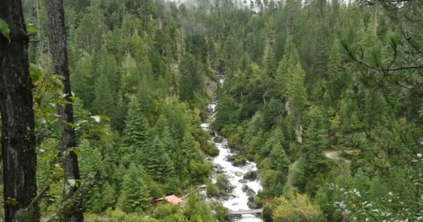 4 k vodopád teče v údolí, zelené jehličnany, Bomi County, tibet. — Stock video