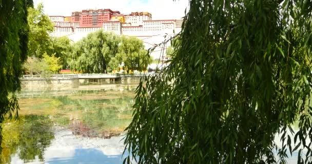 4k Potala reflexão sobre o lago no parque Lhasa, Tibet.lake com salgueiro . — Vídeo de Stock