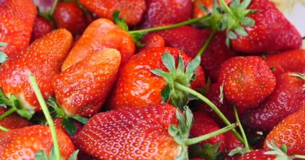 Rotation 4k de délicieuses fraises . — Video