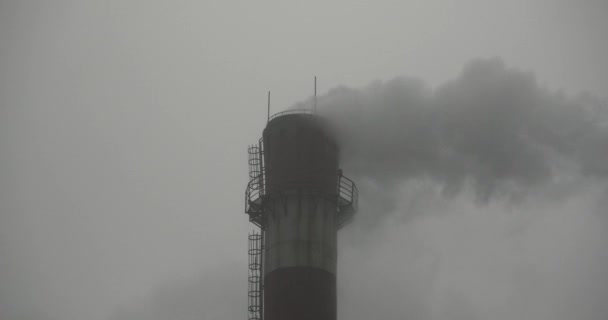 Les fumées 4k soufflent de la cheminée industrielle, tuyau de production d'énergie avec de la fumée . — Video