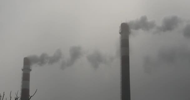 Les fumées 4k soufflent de la cheminée industrielle, tuyau de production d'énergie avec de la fumée . — Video