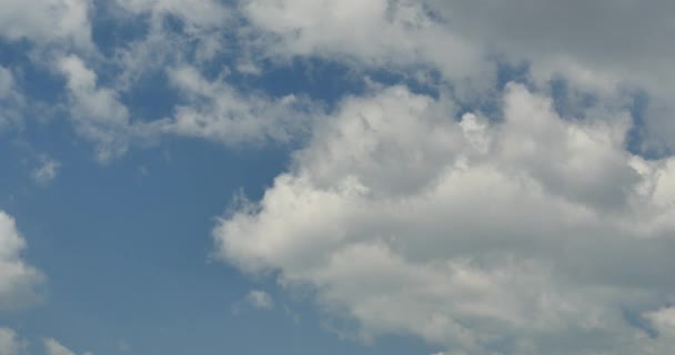 4k Panoramic van witte altocumulus wolken vliegen in de blauwe hemel. — Stockvideo