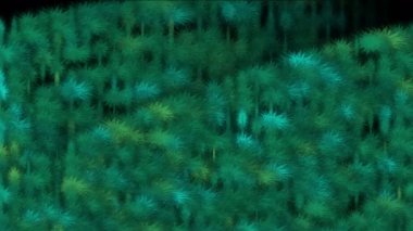 4 k ot otlar çalılar bitki Yaylası, hasat yemyeşil yaprakları, mikrop bakteri spore