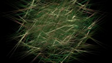 4 k çimen weeds emekliye arka plan, bitkisel çay, yeşil sazlık çalılar bitki zemin