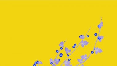 4 k artan bahar daisy kış Yasemin çiçek dalları bitki örtüsü bitki.