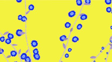 4 k artan bahar daisy kış Yasemin çiçek dalları bitki örtüsü bitki.