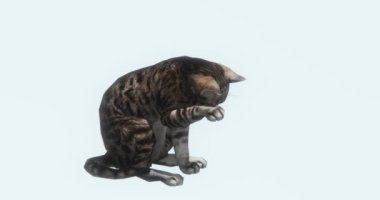4k oturur kedi ve yalamak 's vücut, 3d çizgi film, Sevimli evcil hayvan ve kitty, hayvan siluet.