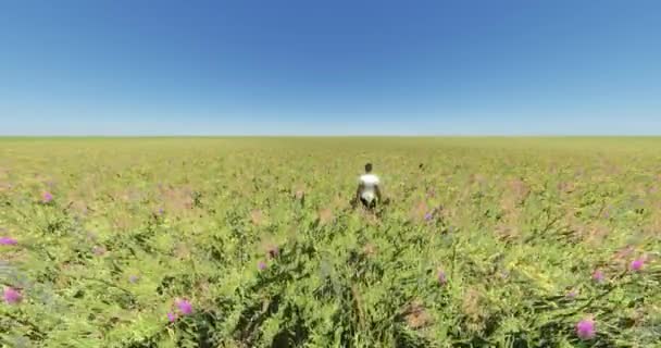 4k young man in flower & grass in wind, natural scenery, float dandelion, blue sky — стоковое видео