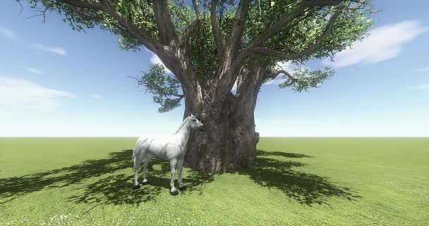 4k caballo blanco bajo gran árbol, mascota potro, animales de granja vida silvestre, hermoso espíritu . — Vídeo de stock