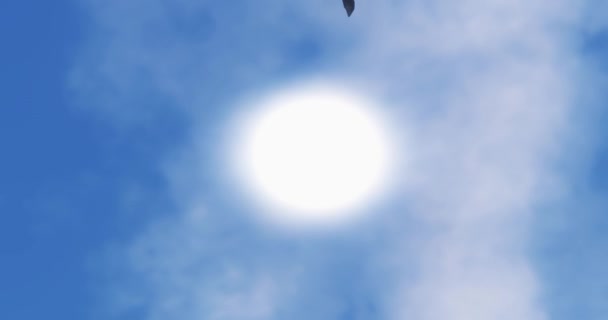 4k eagle Flying Over Sunlight,sun rays & solar flare,cloud,Paradise scene. — Stock Video