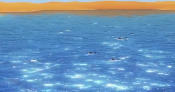 4 k vis zwemmen in meer glans, meanderende woestijn zandduinen & uitgestrekte blauwe hemel. — Stockvideo