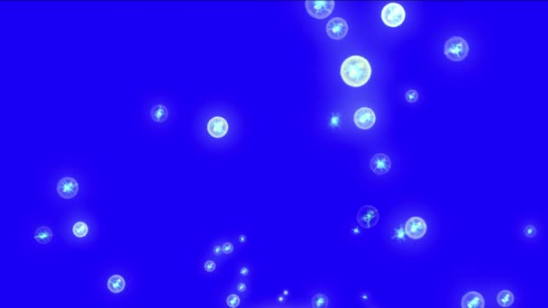 4k Абстрактный пузырь волдырь круглые шариковые точки космические частицы фон, пыль свет — стоковое видео