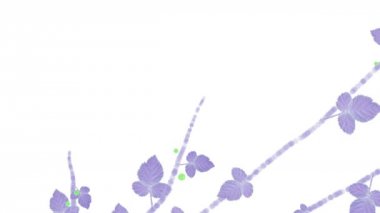 4 k artan bahar berry meyve bitki örtüsü bitki dalları.