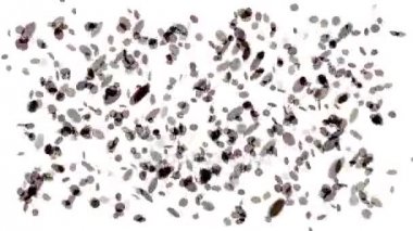 4 k soyut damla su sıvı tabletleri arka plan, damlacık nokta nokta fasulye kabarcık