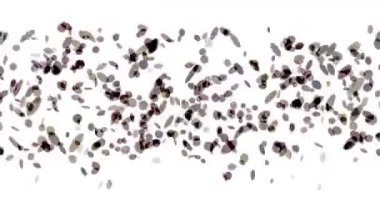 4 k soyut damla su sıvı tabletleri arka plan, damlacık nokta nokta fasulye kabarcık