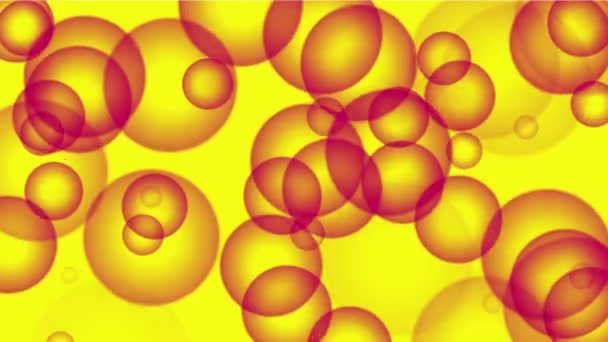 Fondo de burbuja de la ampolla 4k, partículas de bola de anillo, algas microbio bacterias punto huevo — Vídeo de stock