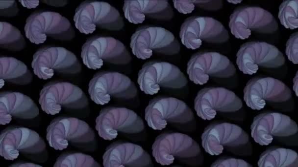 4k abstrakte Muschelmuster Hintergrund, Biologie Fraktale geometrischer Hintergrund. — Stockvideo