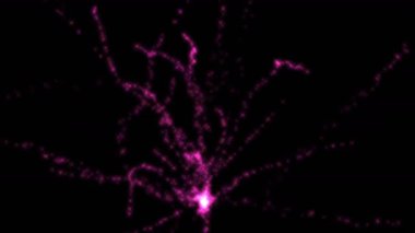 4 k mor havai fişek patlamada gökyüzü, festival kutlamak.