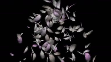 4 kuş tüyü düşen k.