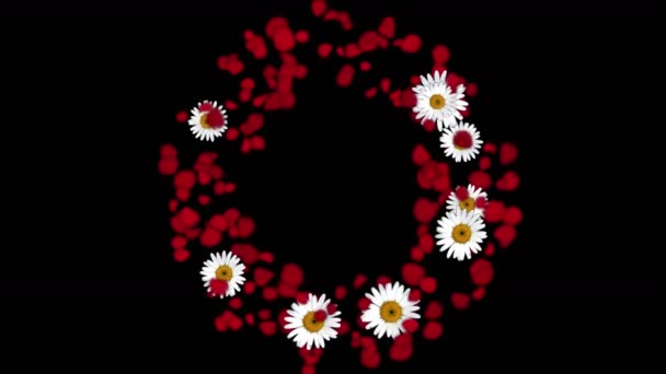 4k Rosenblätter Gänseblümchen förmigen Kranz Hochzeit Valentinstag Hintergrund. — Stockvideo