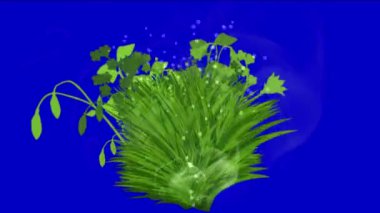 4 k yemyeşil çiçek bitkileri büyüyen otlar çalılar çalılar bitki yaprakları.