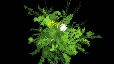 4 k yemyeşil çiçek bitkileri büyüyen otlar çalılar çalılar bitki yaprakları.