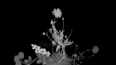 4 k yemyeşil çiçek bitkileri büyüyen otlar çalılar çalılar bitki yaprakları.