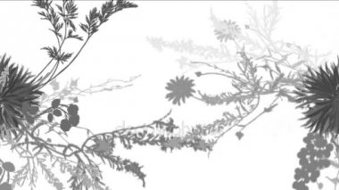 4 k yemyeşil çiçek bitkileri büyüyen otlar çalılar çalılar bitki yaprakları.