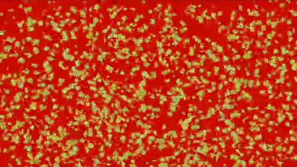 4k Feuilles en automne, récolte romantique, fond de particules de ginkgo, pétales de fleurs .