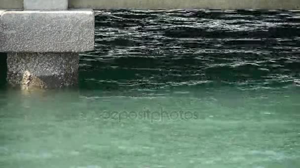 Terminali e superficie dell'acqua, Molo, passerella, Diga . — Video Stock