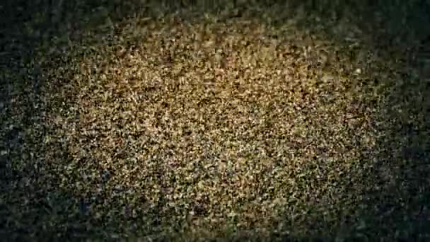 Sabbia, vento soffia particelle di sabbia sulla spiaggia . — Video Stock