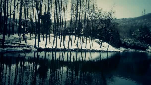 Reflejo del bosque en agua, ondulación, nieve . — Vídeo de stock