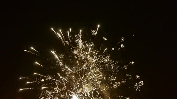 Fuegos artificiales por la noche, festival . — Vídeos de Stock