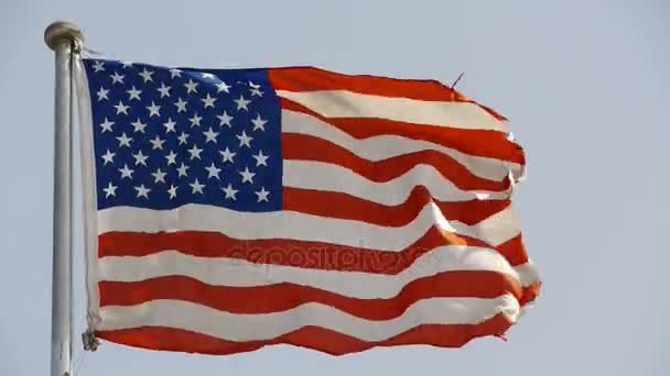 Αμερικανική σημαία κυματίζει στον αέρα. — Αρχείο Βίντεο