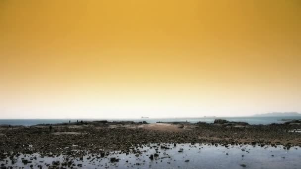 Panorâmica da praia e recife Ebb, pôr do sol, crepúsculo . — Vídeo de Stock