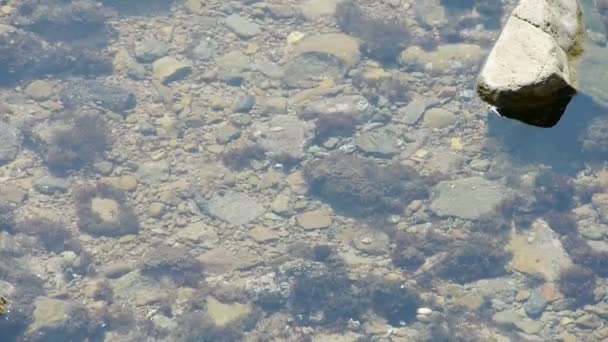 Ondulação clara e transparente da baía de Repulse, lago espumante, cascalho . — Vídeo de Stock