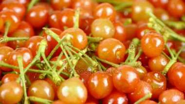 Taze kiraz, lezzetli meyve.