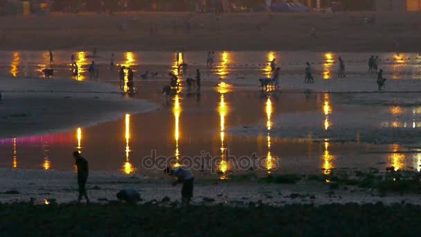 Touristen spielen am Sandstrand. Neon-Reflexion in inlet.tide, Gezeiten. — Stockvideo