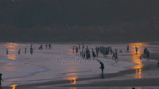 Tourist play at sand beach.Neon reflexão em inlet.tide, maré . — Vídeo de Stock