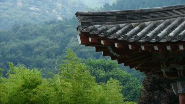 Çin antik tapınak mimarisi ormandaki, bambu dağ tepe.