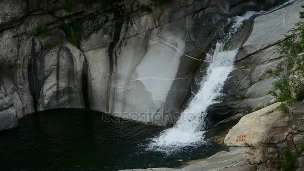 Fjällbäck vattenfall i poolen, skogar & buskar. — Stockvideo