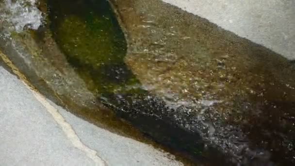 Ρεύμα του ποταμού πάνω από πέτρες. — Αρχείο Βίντεο